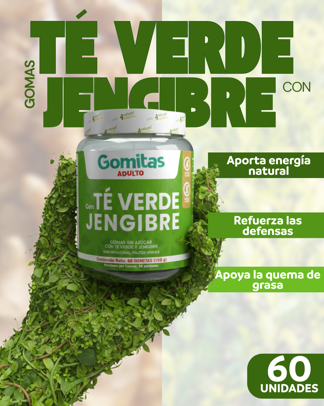 GOMAS DE TE VERDE CON JENGIBRE. IDEAL PARA TODOS LOS DIAS